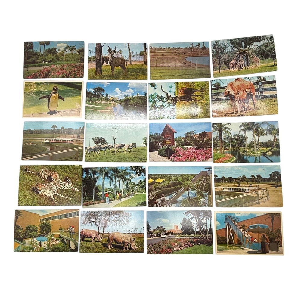 Vintage 60s Busch Gardens Tampa Florida Postcard Lot 20 Animals Attractions MCM